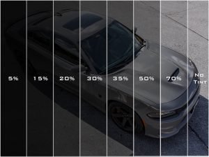 Choose the right tint shade