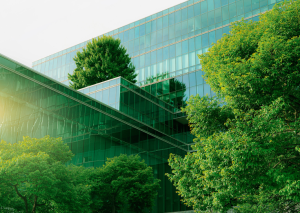 Window Tint Eco-Friendly